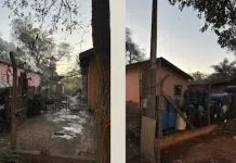 Tentativa de queimar caixa de marimbondos provoca incêndio em empresa
