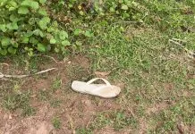 Jovem é encontrado morto com nove tiros em terreno no Bessa, em João Pessoa