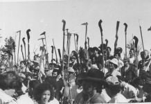 7ª Semana das Ligas Camponesas destaca memória, resistência e educação do campo na Paraíba