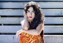 Marisa Monte e a arte de permanecer