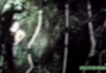 Veja o momento em que uma criança desaparecida é resgatada atolada em lamaçal durante a madrugada em Americana