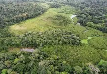 Sudema promove trilhas para comemorar o aniversário da Mata do Buraquinho em João Pessoa