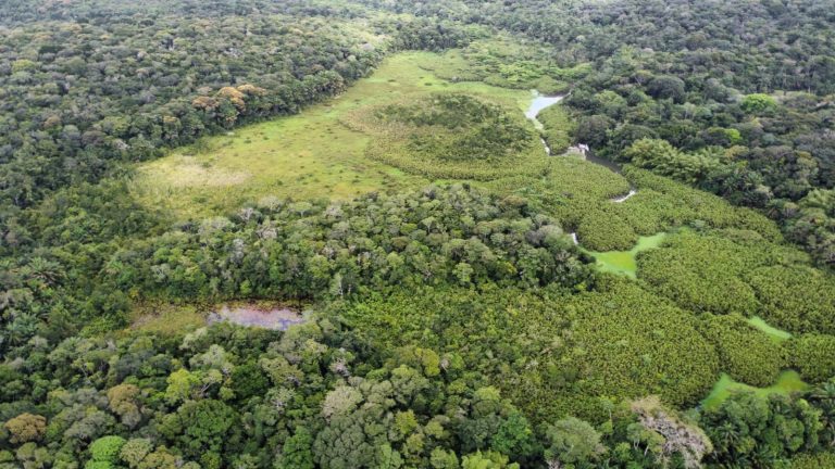 Sudema promove trilhas para comemorar o aniversário da Mata do Buraquinho em João Pessoa