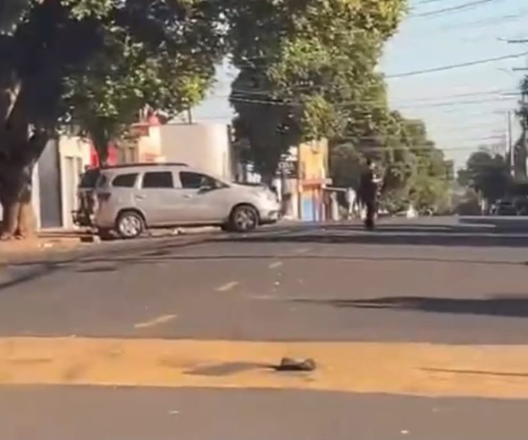Polícia Civil descobre fábrica clandestina de mel em Araçatuba