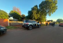 Operação Laço Falso desmantela quadrilha de furto de gado