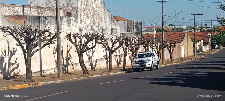 Empresa é multada em R$ 13,5 mil por poda drástica de 27 árvores