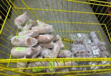 MP-Procon autua cinco supermercados durante fiscalização em Patos