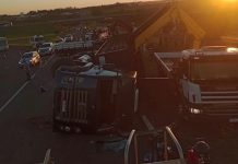 Caminhão que transportava bovinos tomba na Marechal Rondon; dois animais morrem