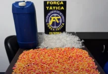 Polícia apreende mais de 5 mil porções de drogas em imóvel usado pelo tráfico em Itariri