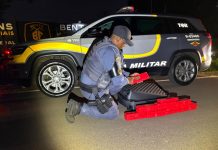 Polícia prende homem em ônibus com mais de 11 kg na Rondon