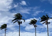 Paraíba tem alerta de ventania para 108 municípios nesta quarta-feira (15)