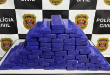 Polícia apreende quase 70 kg de maconha em chácara com crianças