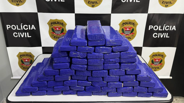 Polícia apreende quase 70 kg de maconha em chácara com crianças