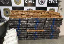 Polícia apreende 400 kg de maconha e prende motorista de caminhão em Campina Grande