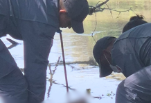 Corpo de mulher jovem é retirado de rio em Guaratinguetá