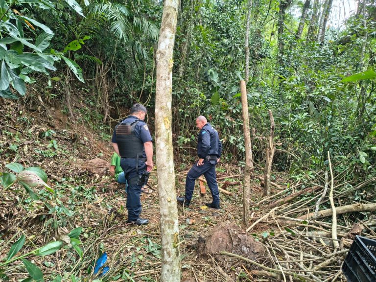 Homem é detido após desmatar área protegida para construir moradia em Mongaguá