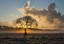 Frente fria derruba temperaturas no RS e termômetros marcam -1,9°C nesta segunda (10)