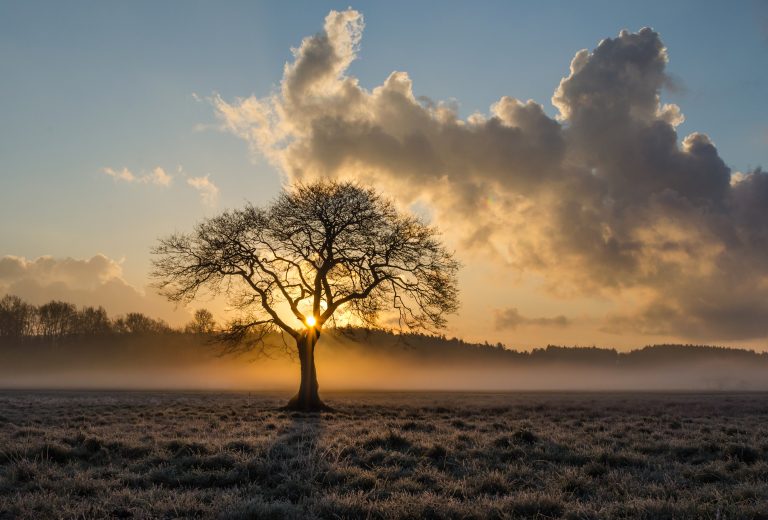 Frente fria derruba temperaturas no RS e termômetros marcam -1,9°C nesta segunda (10)
