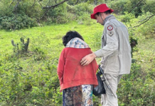 Idosa desaparecida é encontrada em área de mata por cadela dos Bombeiros na Paraíba