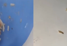 Larvas são encontradas por alunos em merenda de escola estadual em Guarujá; VÍDEO