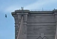 Vídeo: Homem é preso após escalar ponte, tirar a roupa e pular em Nova York