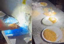 Polícia descobre refinaria de drogas em chácara e apreende 51kg de entorpecentes