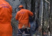 Defesa Civil alerta para risco de incêndios em Campinas