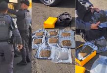 “Maconha do Playboy”: passageiro é preso com droga avaliada em R$ 56 mil em ônibus