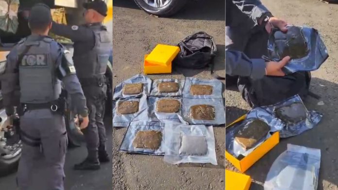 “Maconha do Playboy”: passageiro é preso com droga avaliada em R$ 56 mil em ônibus “Maconha do Playboy”: passageiro é preso com droga avaliada em R$ 56 mil em ônibus