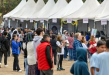 Fim de semana no Taquaral terá feira gratuita com shows, gastronomia e atrações para toda a família