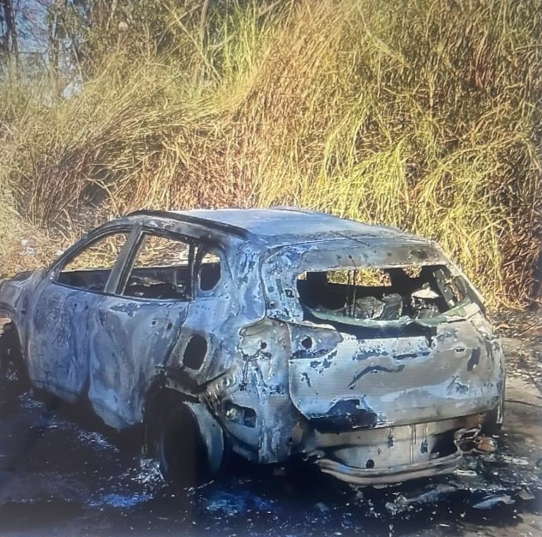 Corpo é encontrado com sinais de violência em estrada de terra em Mogi Mirim