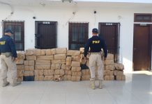 PRF apreende mais de uma tonelada de maconha na Via Dutra, em Queluz