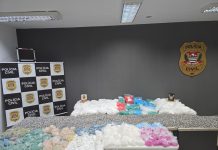 Polícia Civil apreende mais de 86 kg de drogas em 'casa bomba' e causa prejuízo de R$ 2 milhões ao tráfico em São José