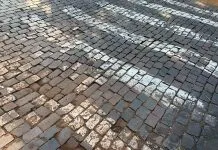 Vai asfaltar? Vereador propõe revisão do modelo de preservação da Avenida Nove de Julho