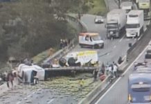 VÍDEO: Caminhão carregado com coco tomba e deixa uma pessoa ferida na Dutra, em Guaratinguetá