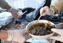 Saúde divulga o 33º alerta contra a dengue e reforça ações de prevenção em 36 bairros de Campinas