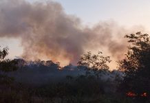 VÍDEO: Incêndio destrói 145 mil m² de vegetação e mobiliza equipes em Jundiaí