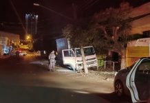 Homem furta caminhão de carne, dirige na contramão, bate em poste e é preso