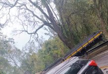 Mulher é socorrida de helicóptero após colisão entre carro e caminhão na SP-50, em Santo Antônio do Pinhal