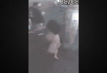 Árvore cai em Itanhaém e esmaga carro de mulher com marido e filho dentro