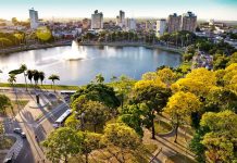 João Pessoa institui Plano Municipal de Arborização Urbana; veja o que muda