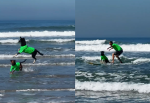 Cães abandonados foram resgatados e viraram ‘surfistas’ ao dividirem pranchas com moradores, em Praia Grande; VÍDEO