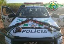 Polícia estoura esquema de caça ilegal com cães, GPS e armas clandestinas
