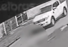 Cachorro morre após ser atropelado por carro e motorista foge sem prestar socorro em Peruíbe