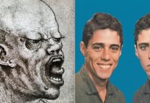 Capas de álbuns clássicos que marcaram a história da música brasileira