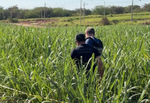 Mistério em Capivari: Corpo de mulher é encontrado com sinais de violência em estrada de terra