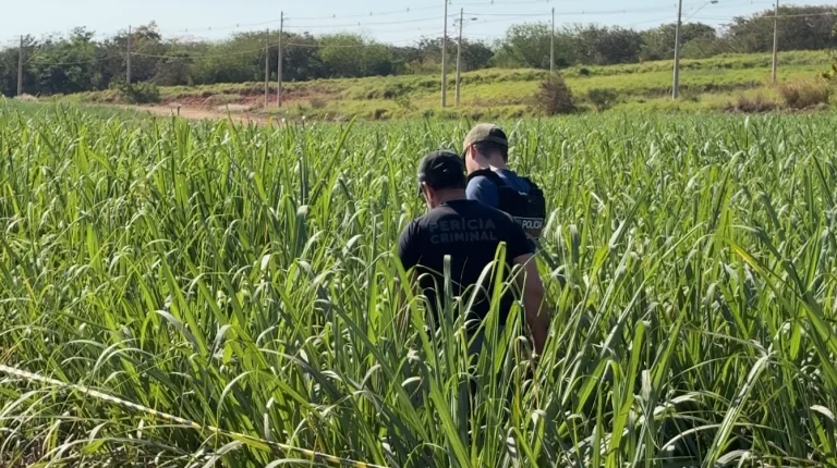 Mistério em Capivari: Corpo de mulher é encontrado com sinais de violência em estrada de terra