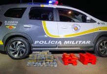 Polícia Rodoviária apreende mais de 56 kg de drogas e prende dois traficantes na SP-300