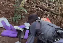 Operação Pronta Resposta apreende mais de 26 kg de drogas em comunidade do Guarujá; VÍDEO