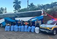 Polícia Rodoviária flagra bolivianas com haxixe marroquino e 250 kg de folhas de coca